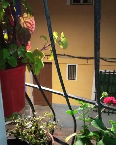 Apartamento Piso Junto Al Mar Para Ocho Personas M�ximo