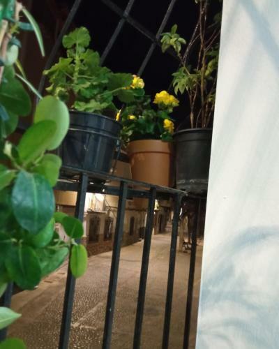 Apartamento Piso Junto Al Mar Para Ocho Personas M�ximo