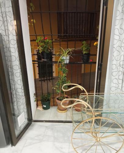 Apartamento Piso Junto Al Mar Para Ocho Personas M�ximo
