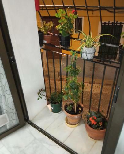 Apartamento Piso Junto Al Mar Para Ocho Personas M�ximo