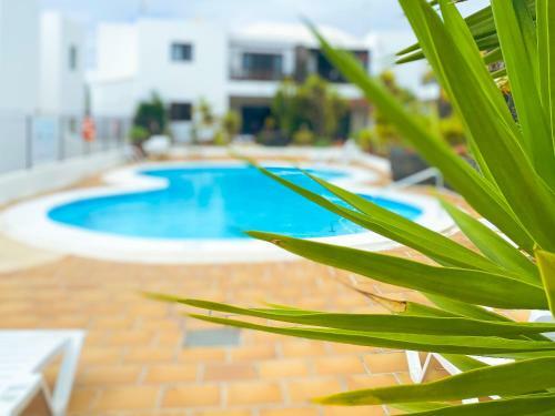 Apartamento Pelicanos' Relax 300mt To The Beach