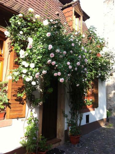 Apartamento Weinstube Schwarzamsel