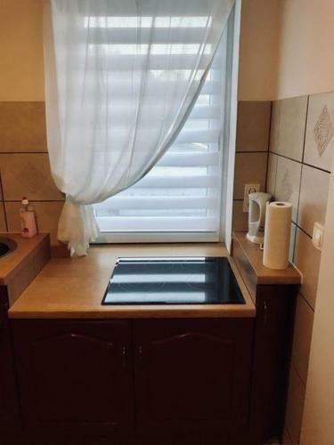 Apartamento Ferienwohnung Willi I