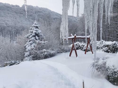 Waldhaus Harz