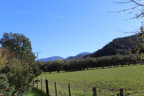 Apartamento Ferienwohnung Im Weingew�lbe