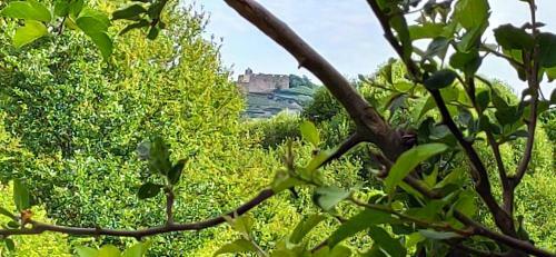 Apartamentos Ferienwohnung Belchenblick