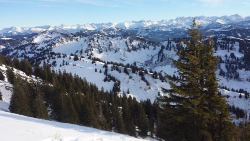 Apartamento Ferienwohnung Sandmann