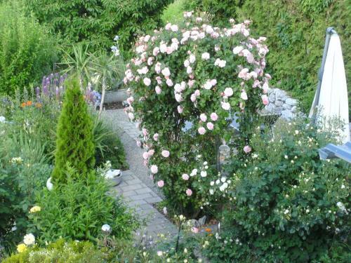 Apartamento Roggele Bei Beck