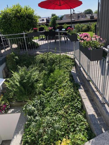 Apartamento Casa Viola Bodenseeblick