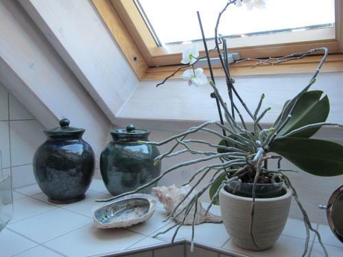 Ferienwohnung-spessart