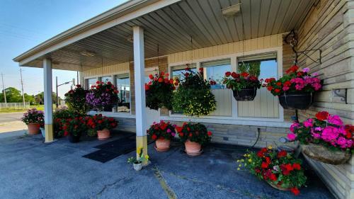 Haven Motel