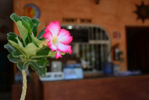 Hotel Posada Luna Sol