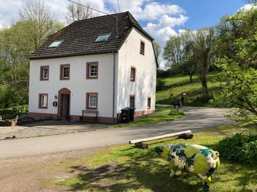 Ferienhaus Sprink Vulkaneifel