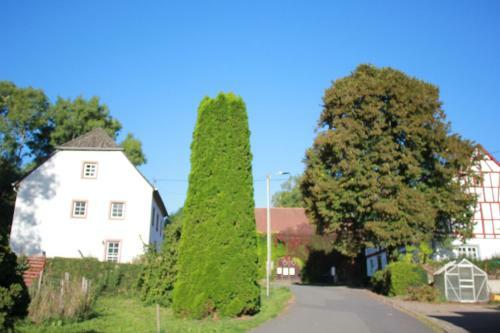 Ferienhaus Sprink Vulkaneifel