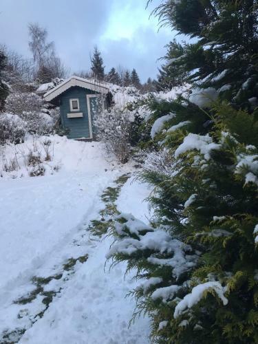 Sch�nwald Waldchalet Am Musenberg