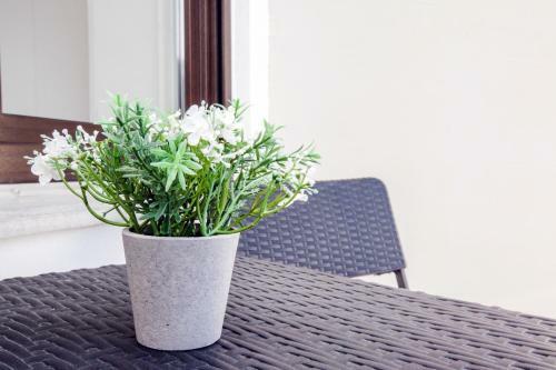 Apartamento Kleiner Kristall Incl Meinecard