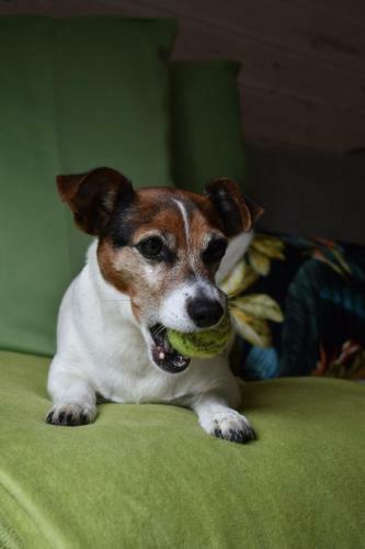 Haus "bl�cher" Tinyhouse Mobilheim