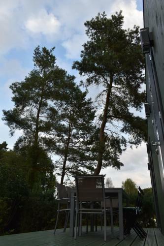 Haus "bl�cher" Tinyhouse Mobilheim