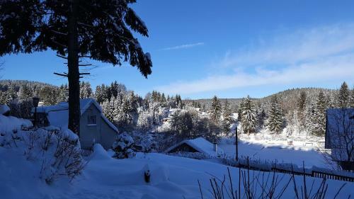 Hostal Pension & Gasthof "am Park" Ug