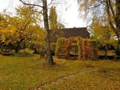 Hostal Privatzimmer Alte Schule
