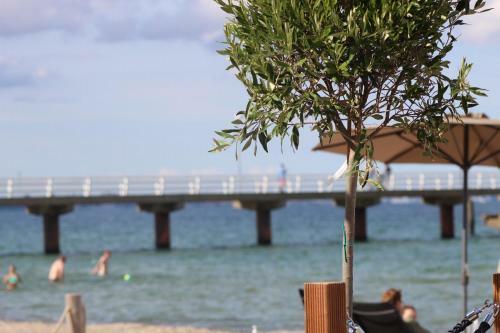 Apartamento Seaside Lodge S�sel, L�becker Bucht, Ostsee
