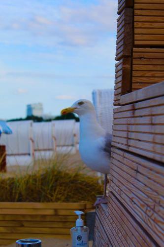 Apartamento Seaside Lodge S�sel, L�becker Bucht, Ostsee