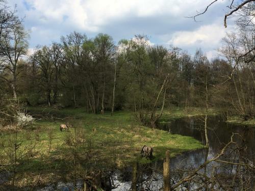 Apartamento Zum Emsblick