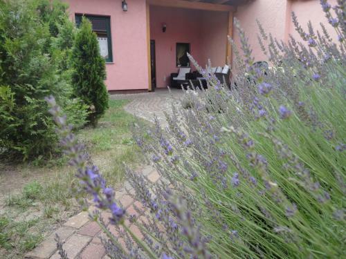 Ferienhaus Kr�ger