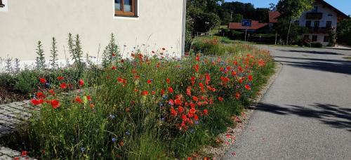 Apartamento Ferienwohnung Ponlach