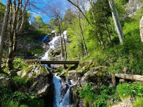 Apartamento Ferienwohnung Todtnau - Hasenhornblick