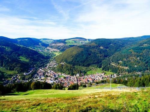 Apartamento Ferienwohnung Todtnau - Hasenhornblick