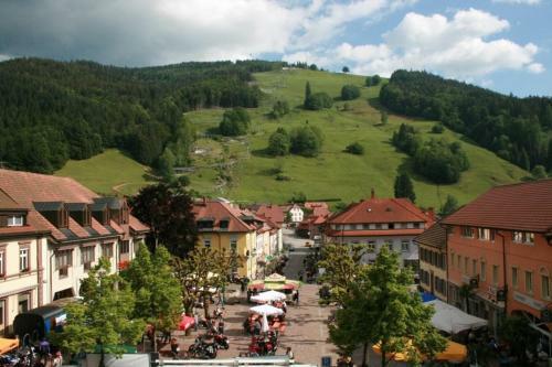 Apartamento Ferienwohnung Todtnau - Hasenhornblick