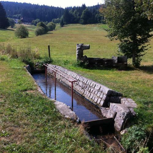 Apartamento Ferienwohnung Waldblick