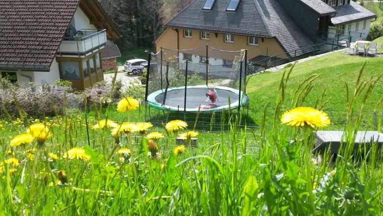 Apartamento B�hlhof Todtnauberg Wohnung 3