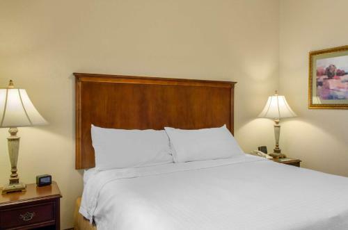 Hotel Homewood Suites By Hilton Covington