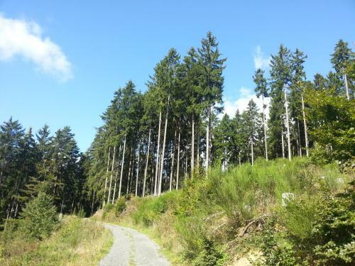 Apartamento Ferienwohnung Am Eifelsteig Vulkaneifel-auszeit
