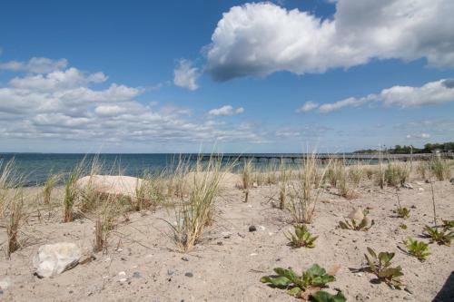 Apartamento Ferienwohnung Direkt Am Strand Der Ostsee