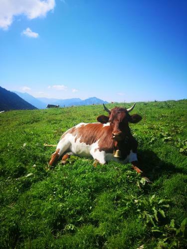 Apartamento Chalet Chiemgau