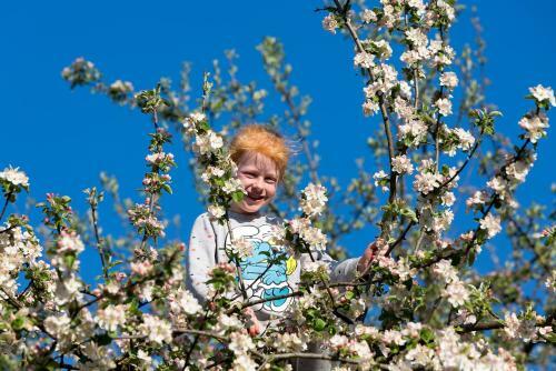 Agroturismo Zai�lh�usl Hof G�stezimmer
