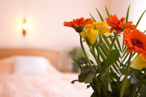 Hostal Haus H�nemann