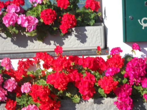 Hostal G�stehaus Maria