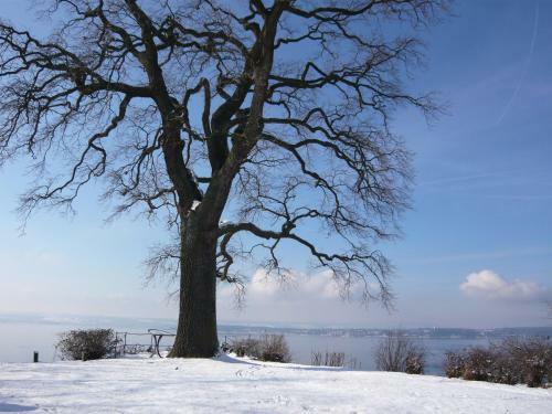 Apartamento Maisonette Bodensee-traum