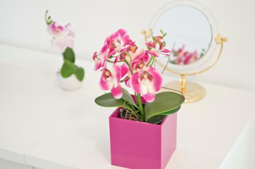 Apartamentos Loft Orchidee