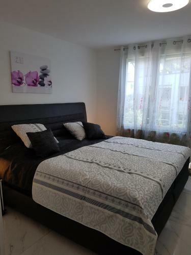Apartamentos Loft Orchidee