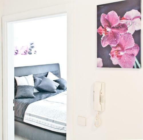Apartamentos Loft Orchidee 2