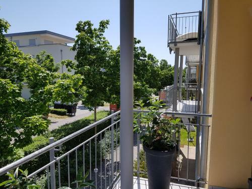 Apartamentos Loft Orchidee 2