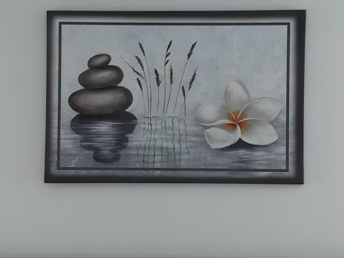 Apartamentos Loft Orchidee 2
