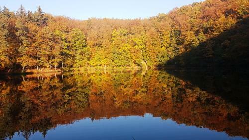 Ferienhaus Direkt Am Badesee Bungalow 11 Sch�nsee