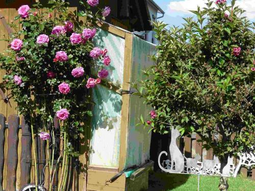 Apartamento Ferienwohnung Mohnblume