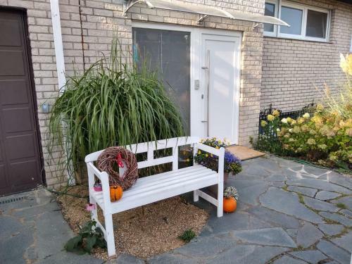 Apartamento Ferienwohnung Pusteblume M�ddersheim Vettwei�